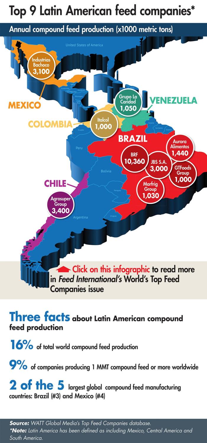 Companies In Latin America 117