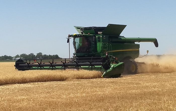 Wheat-harvest-2020.jpg