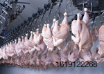 chicken-processing-line-china.jpg