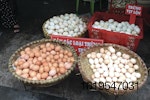 eggs-in-vietnam.jpg