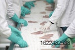 poultry-meat-processing-line-3.jpg