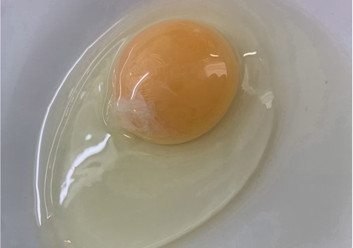 Egg-Benjamin.jpg