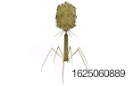 bacteriophage-virus.jpg