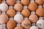 brown-eggs-in-carton1.jpg