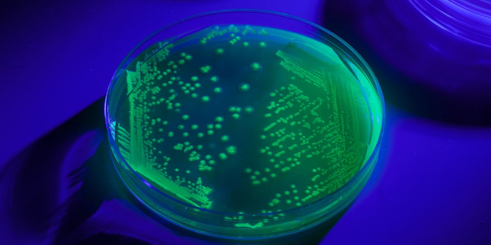 Microbiologics-UV-BioTAG-microbial-controls.jpg