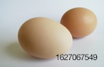 eggs-1502116-638x412.jpg