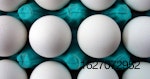 eggs-AI-1508EGGavianflu.jpg