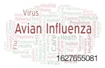 Avian-influenza-word-cloud.jpg
