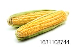 ears-of-corn.jpg