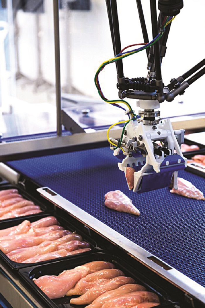 automation-poultry-processing.jpg