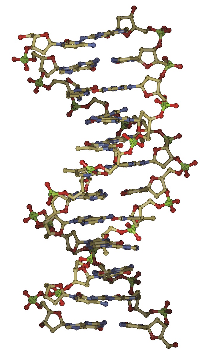 dna-double-helix-molecule.jpg
