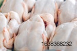 raw-whole-chickens-1.jpg
