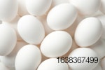 white-eggs-background.jpg