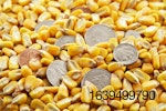 cash-crop-cornj.jpg