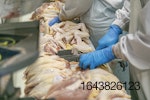 Workers-in-poultry-processing-plant.jpg