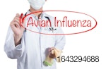 Avian-flu-illustration.jpg