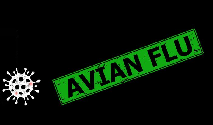 Avian-flu-virus-green-sign.jpg
