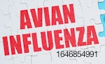 Avian influenza jigsaw puzzle.jpg