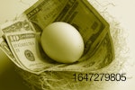 egg-in-money-nest.jpg