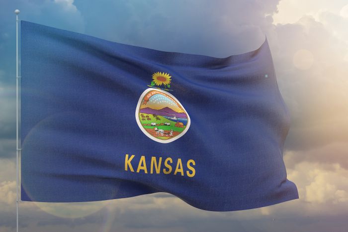 Kansas flag.jpg