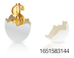 dollar-sign-in-egg-shell.jpg