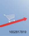 Inflation-shopping-basket.jpg