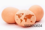 brown-eggs-with-continents.jpg