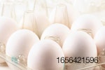 white-eggs-in-clear-carton.jpg
