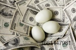 three-white-eggs-on-money.jpg