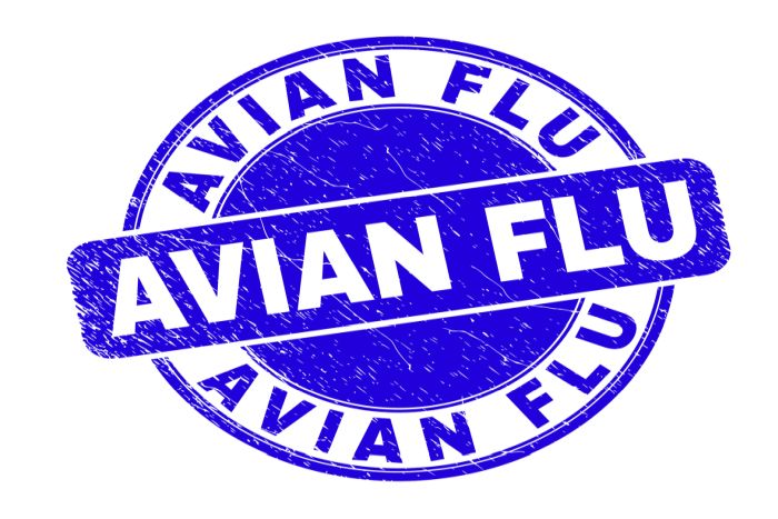 Avian-flu-logo.jpg