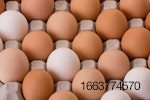brown-eggs-in-carton1.jpg