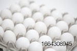 white-eggs-in-carton.jpg