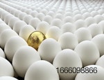 gold-egg-with-white-eggs.jpg