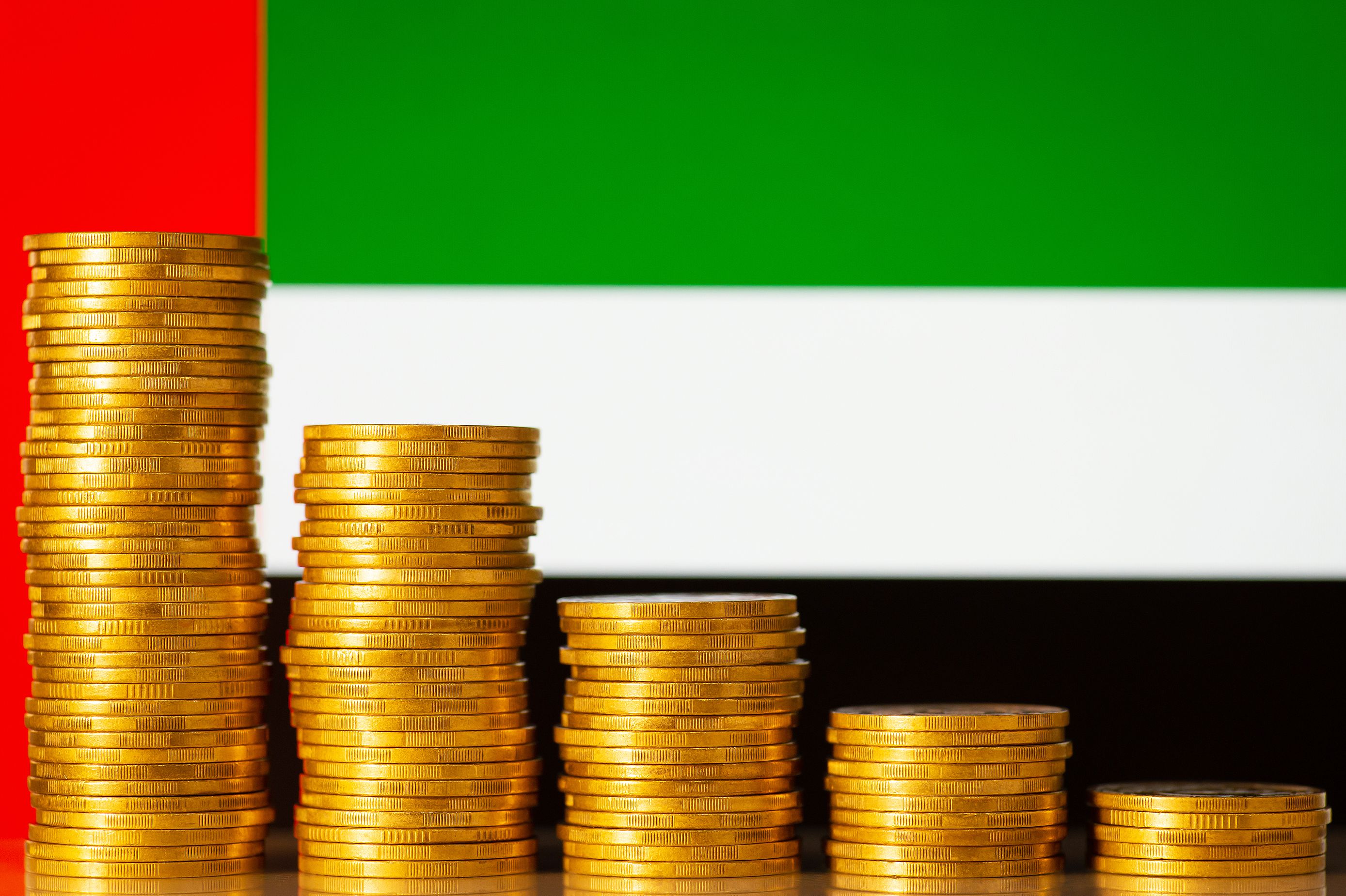 UAE flag and money.jpg