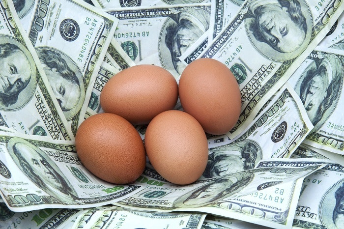 Brown eggs money nest