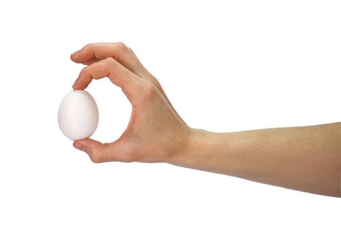 Hand holding white egg
