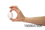 hand-holding-white-egg.jpg