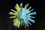 avian-flu-virus.jpg