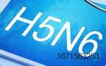 H5N6.jpg
