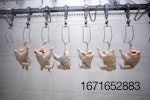 chicken-processing-line-3.jpg