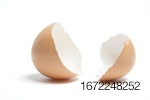 brown-egg-shell-white-bkgrnd.jpg