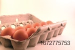dozen-brown-eggs-in-carton.jpg