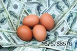 brown-eggs-money-nest.jpg