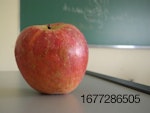 apple-on-the-desk-1317605.jpg