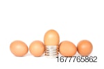 brown-eggs-lightbulb-white-background.jpg