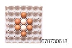eggs-carton.jpg