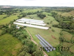 Broiler-farm-Panama-Solar-panels.jpg