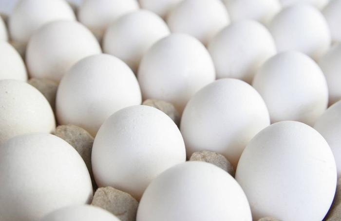 Egg prices 2015