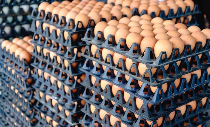 Eggs-From-Hen-Farm-In-The-Pack.jpg