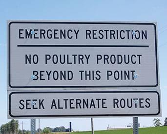 Avian-flu-restrictions-Rembrandt-Foods1509EIRembrandt.jpg